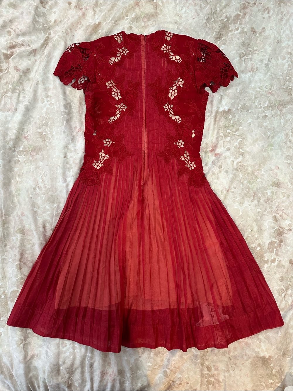 Red Lace Fit & Flare Mini Dress - Picture 4 of 6